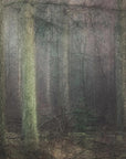 Plakat - Larch