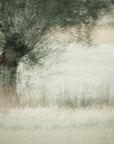 Plakat - Willow