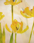 Plakat - Flowering tulips