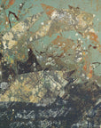 Plakat - Underwater world