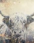 Poster - Cow Highland Illustration Art 04