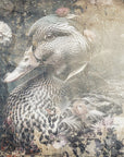 Poster - Duck Animal Vintage Art Illustration Wallart 05