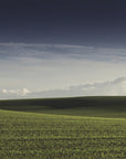 Plakat - Summer Fields 02 - Admen.dk