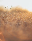 Plakat - Landscape 04 - Admen.dk