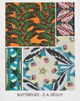 Poster - Butterflies 17