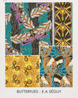 Poster - Butterflies 20