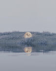 Plakat - Surreal Landscape - Admen.dk