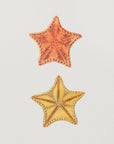 Poster - Carved Asterias