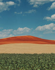 Plakat - Red Mountain and Crops 03 - Admen.dk