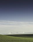 Plakat - Summer Fields 03 - Admen.dk