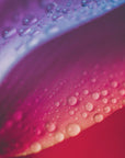 Plakat - Pink Flowers 14 - Admen.dk