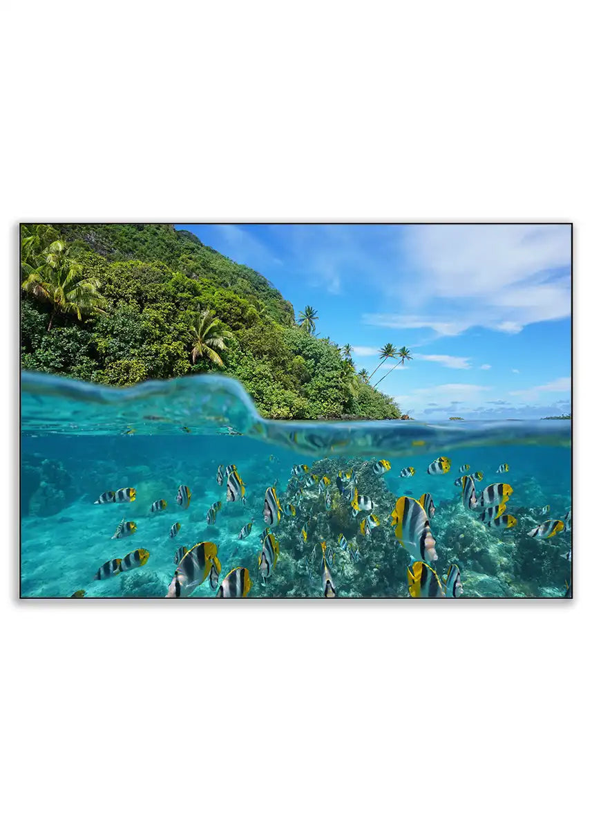 Plakat - Fransk polynesien - admen.dk