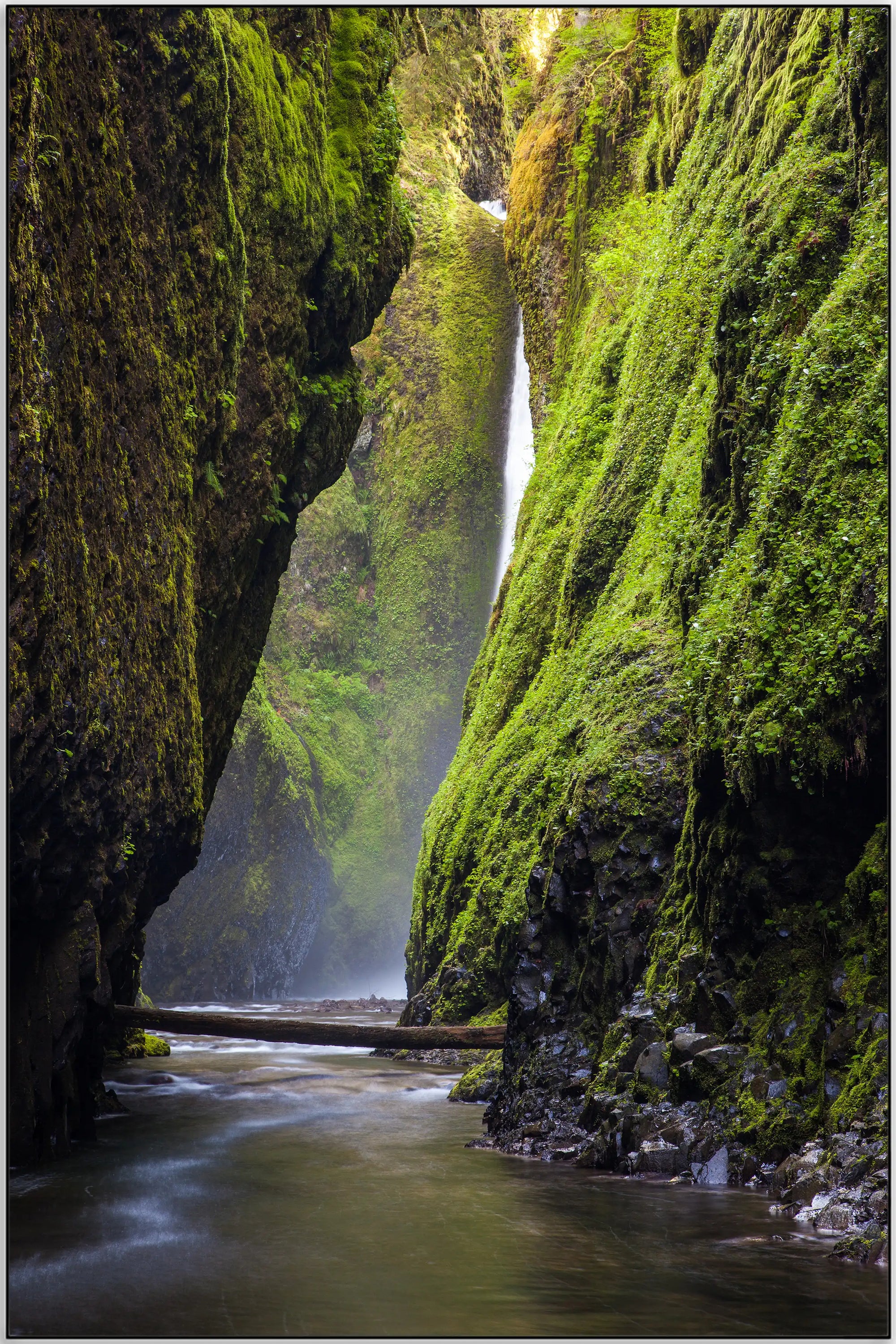 Plakat - Oneonta Gorge kløft kunst - admen.dk