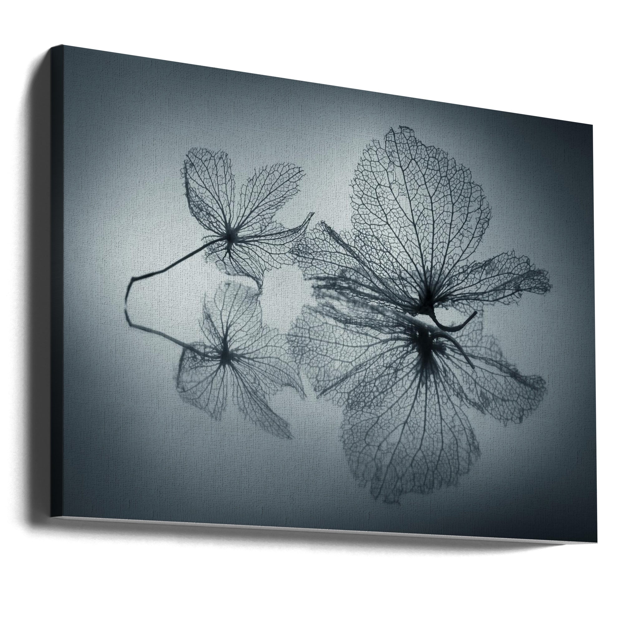 Canvas - Ephemeral Beauty - Admen.dk