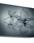 Canvas - Ephemeral Beauty - Admen.dk