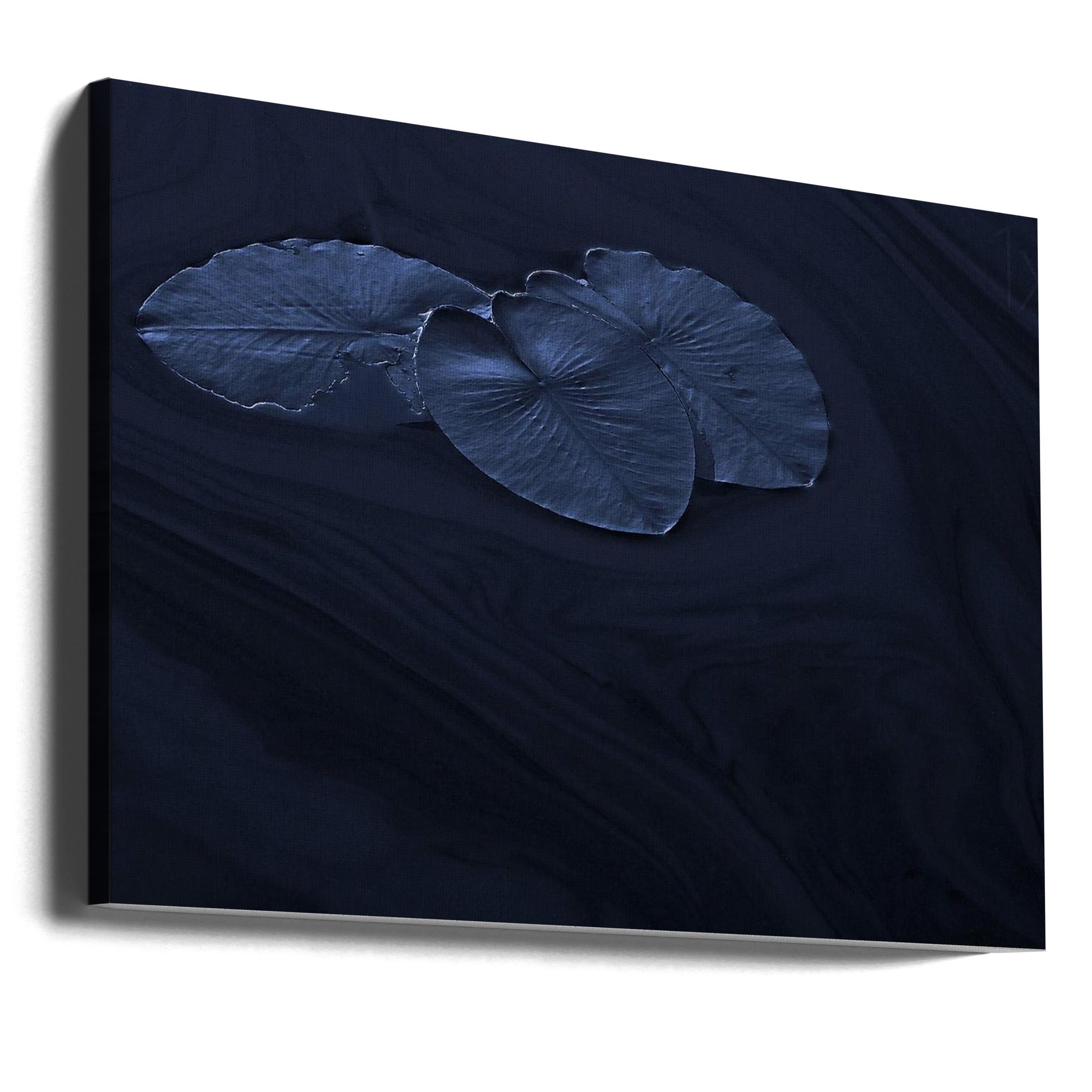 Canvas - Leaf. - Admen.dk