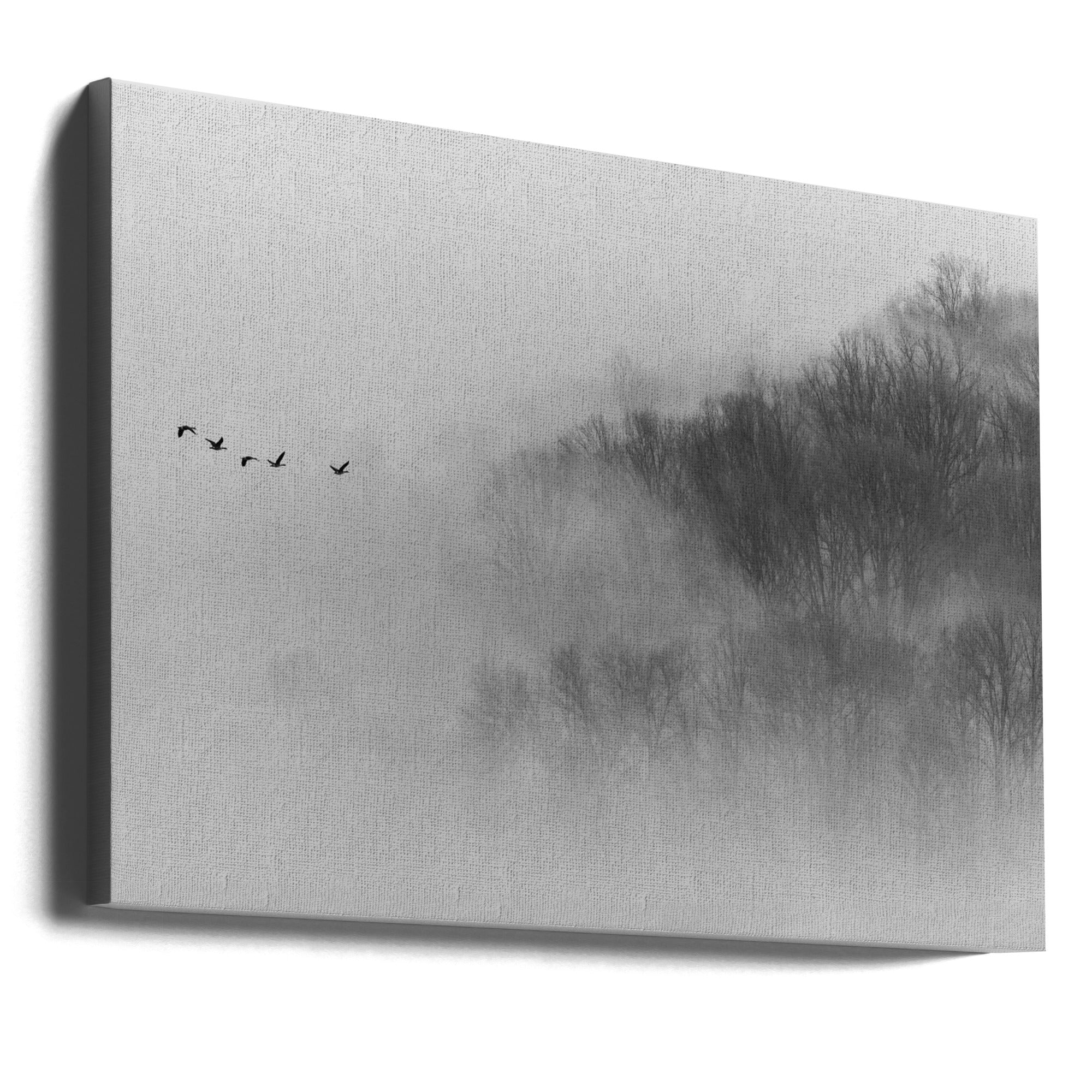 Canvas - Above Mist - Admen.dk