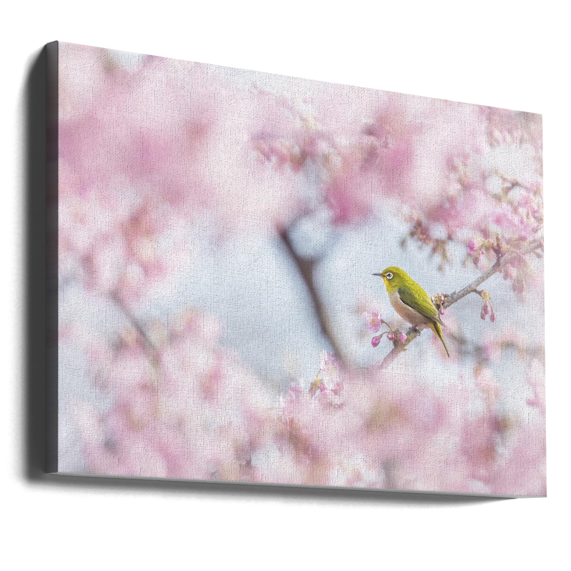Canvas - Cherry blossom color
