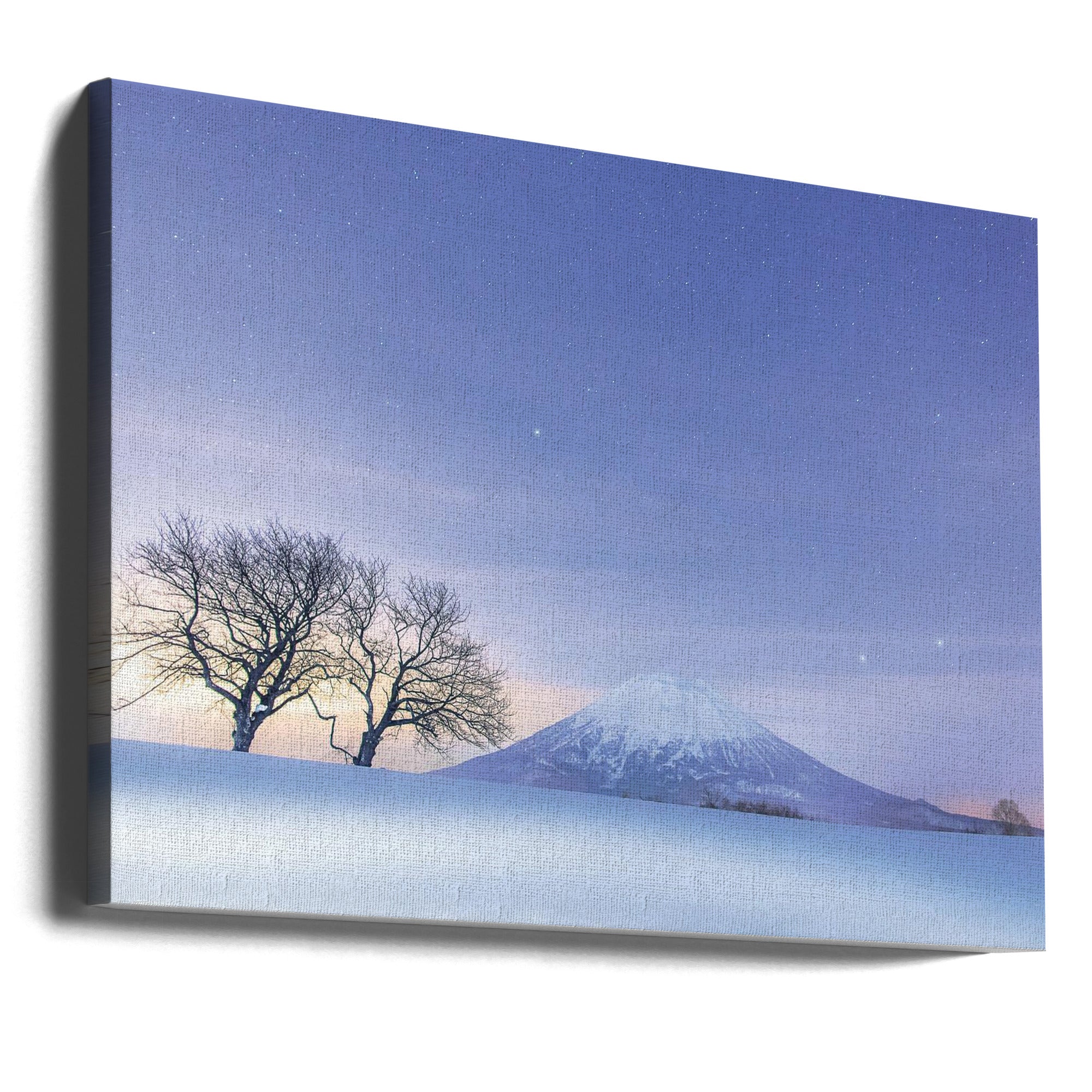 Canvas - Blue fantasy