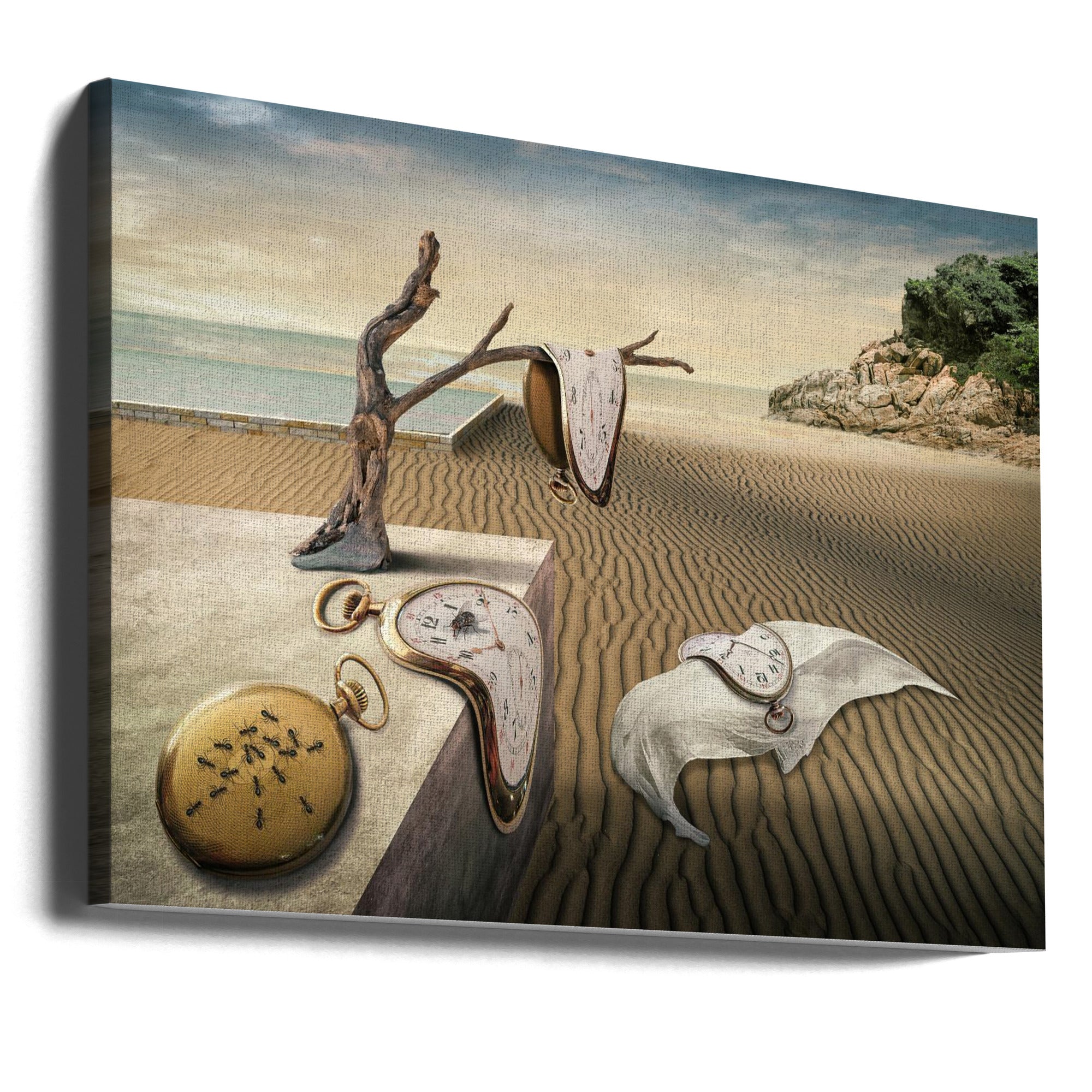 Canvas - Hommage Dali - Admen.dk