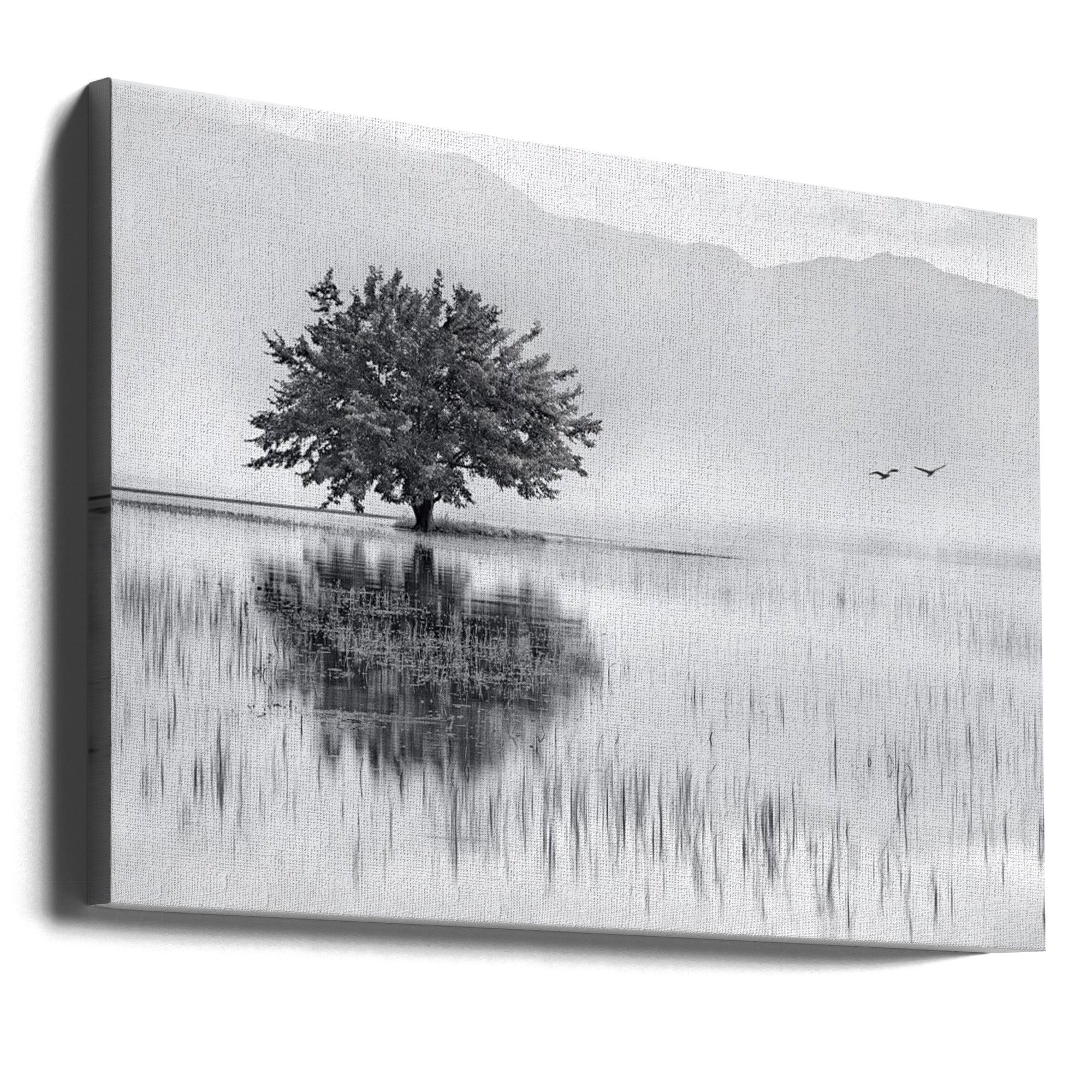 Canvas - Spring Mirror