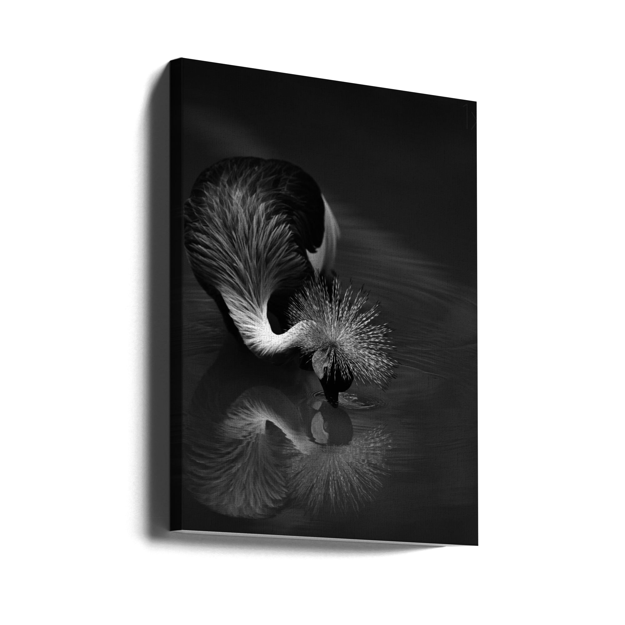 Canvas - The reflection - Admen.dk