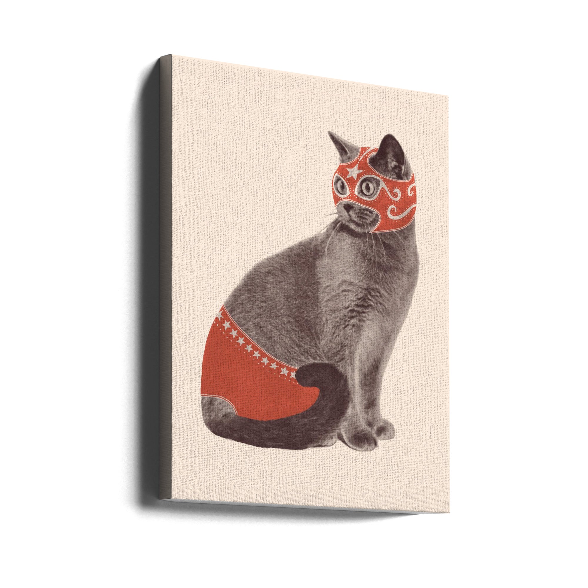 Canvas - Chat Catcheur - Admen.dk