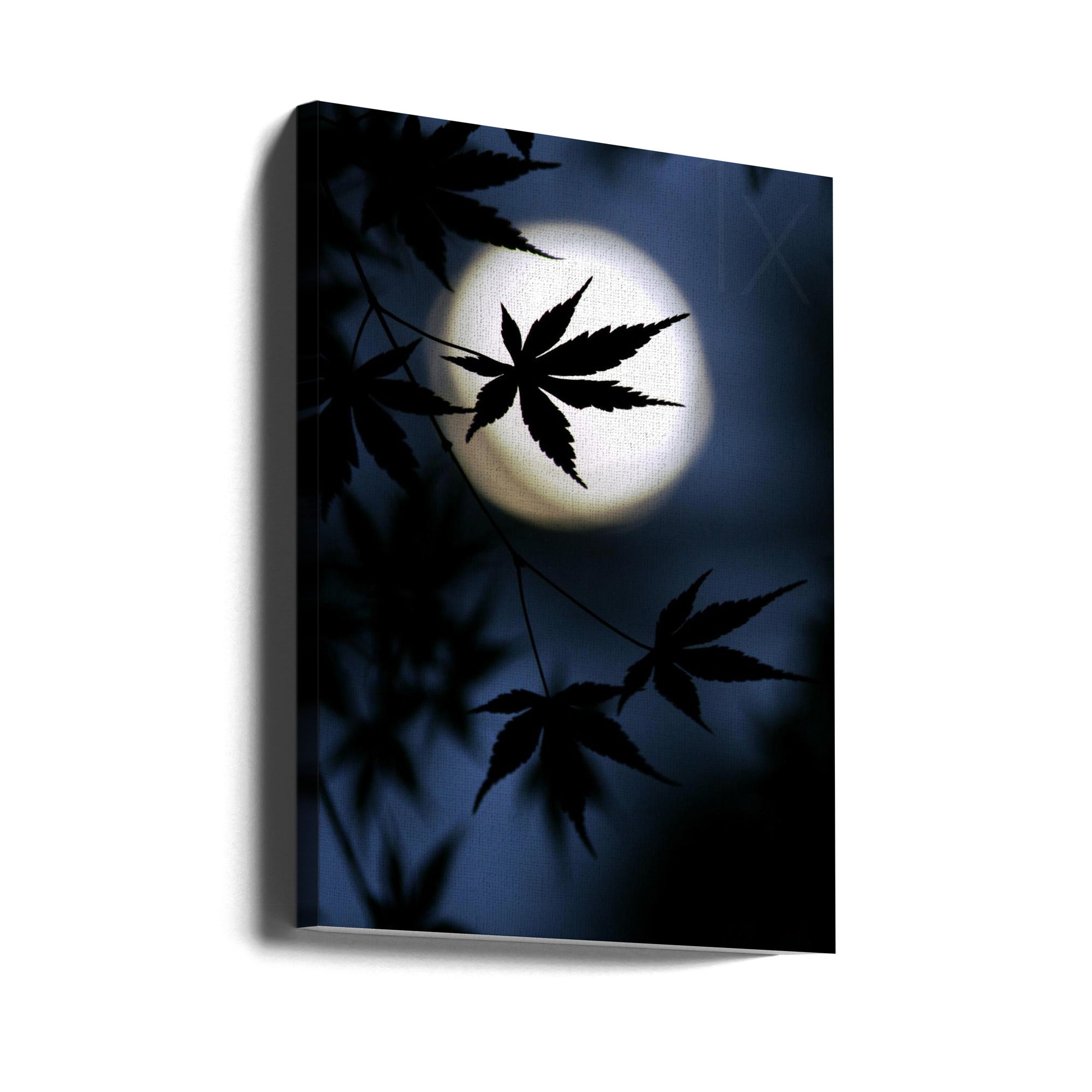Canvas - Color of Japan - Admen.dk