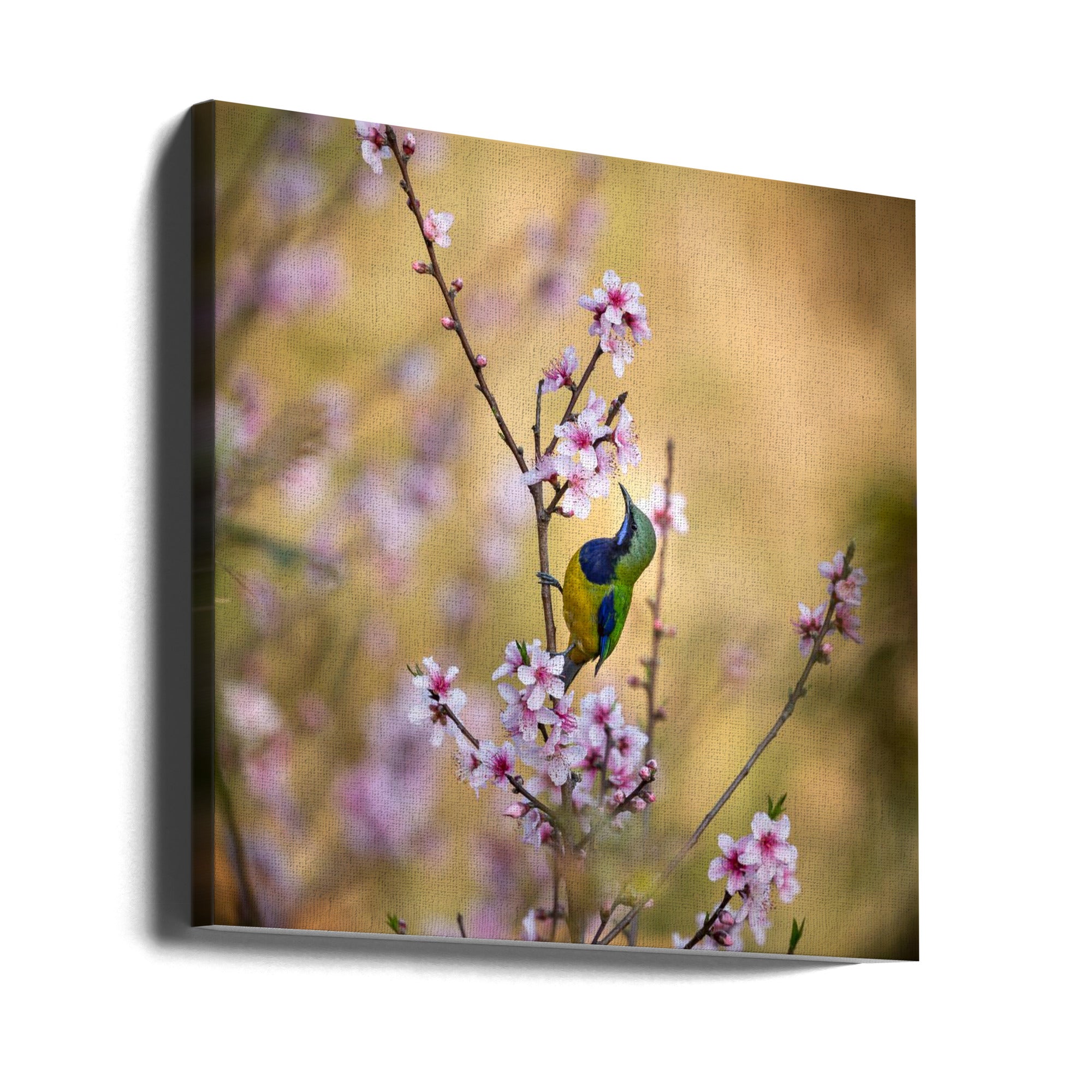 Canvas - Bird Whispering to the Peach Flower - Admen.dk