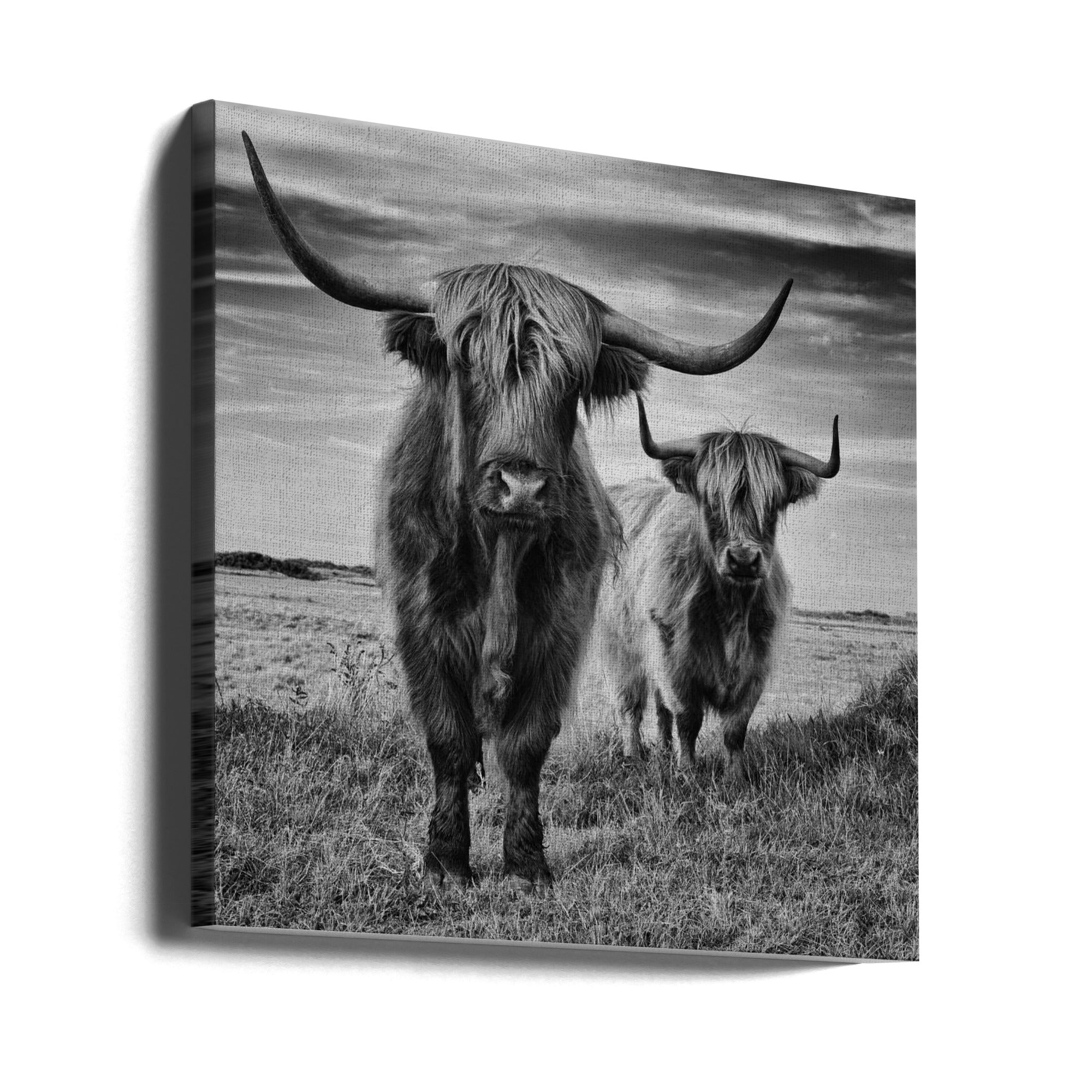 Canvas - Highlands - Admen.dk