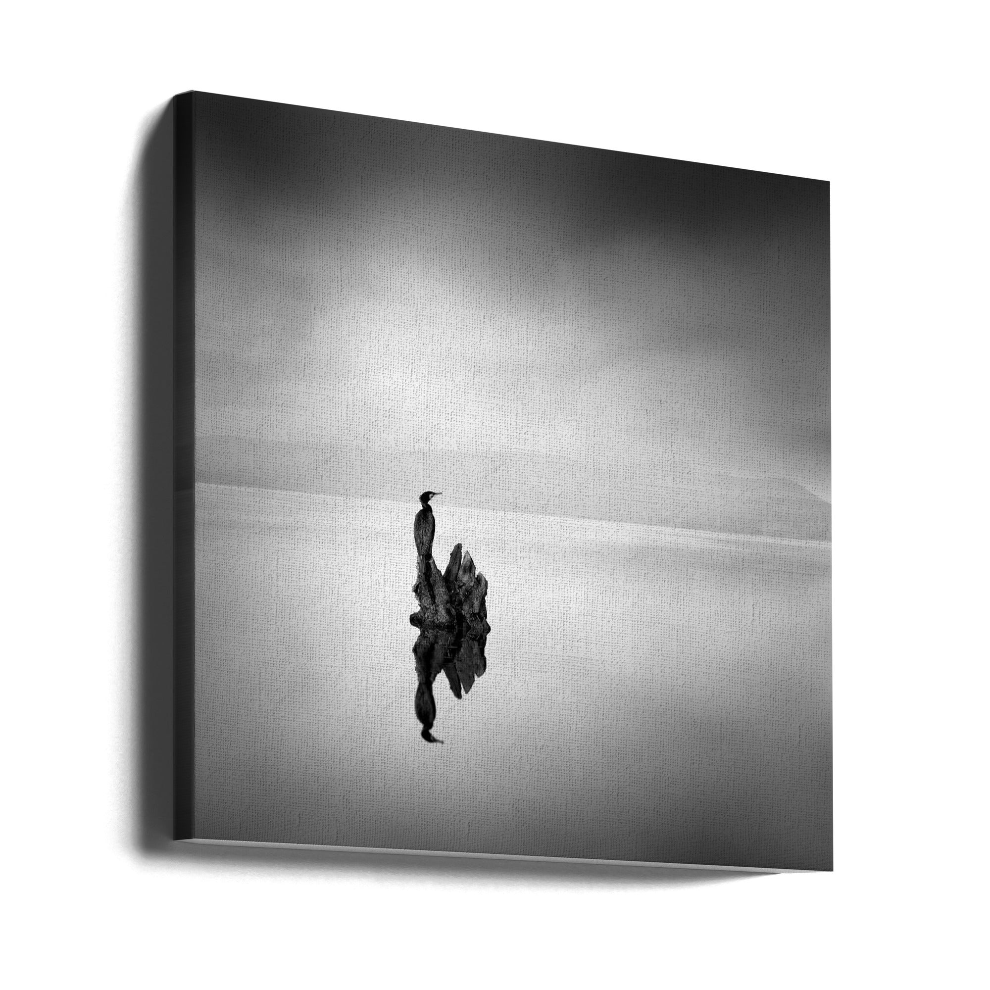 Canvas - Cormorant 02