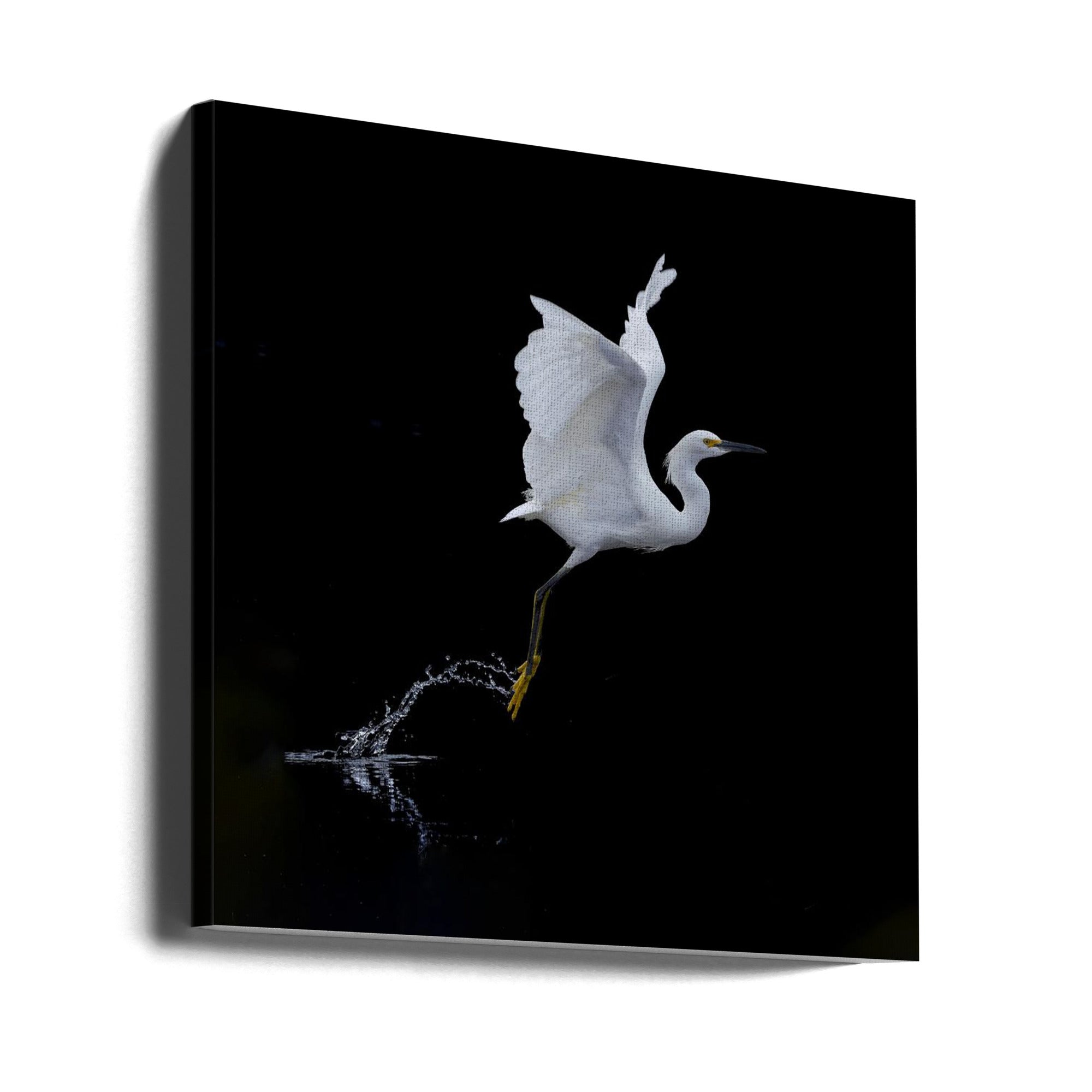 Canvas - fly - Admen.dk