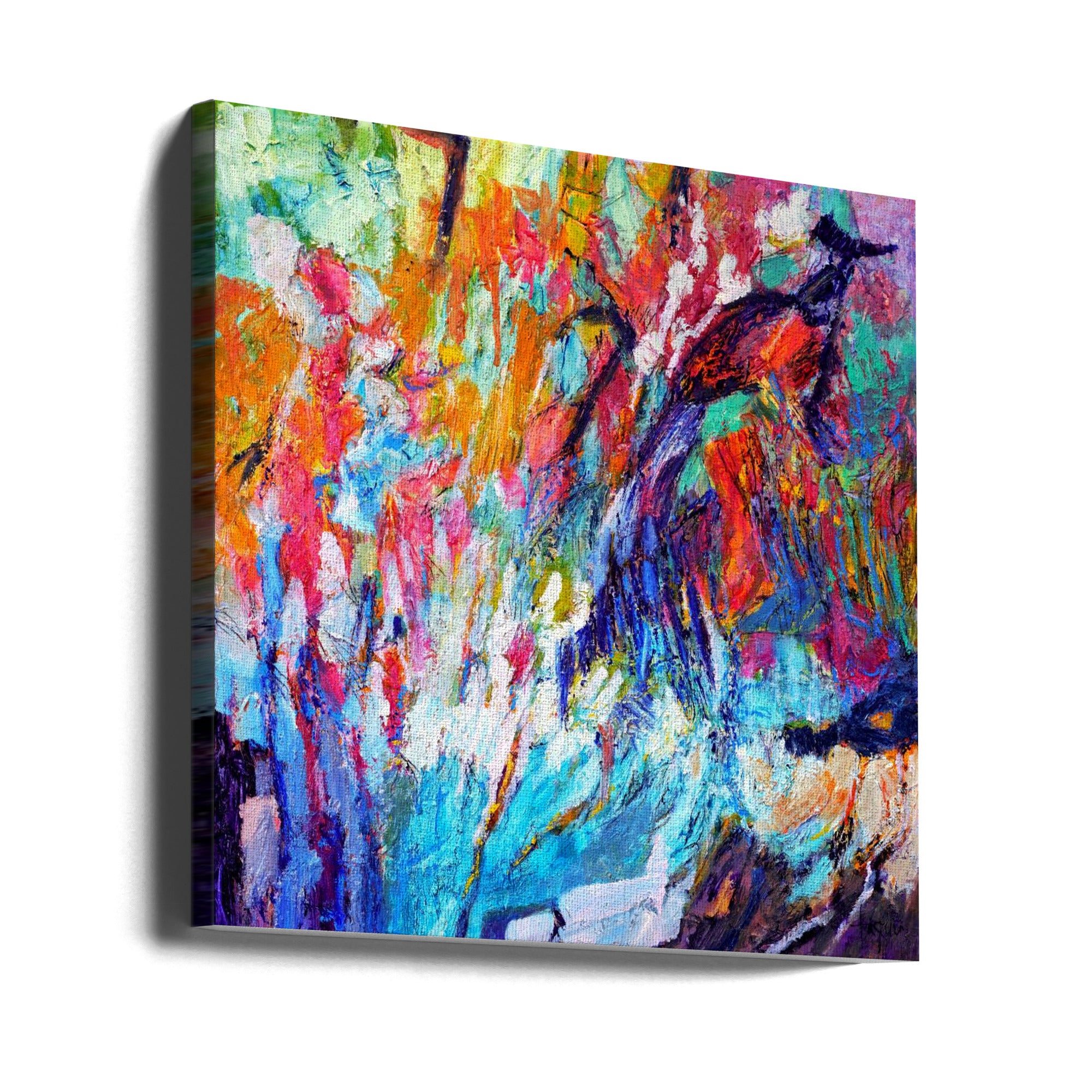 Canvas - Df1022 Willowisp A