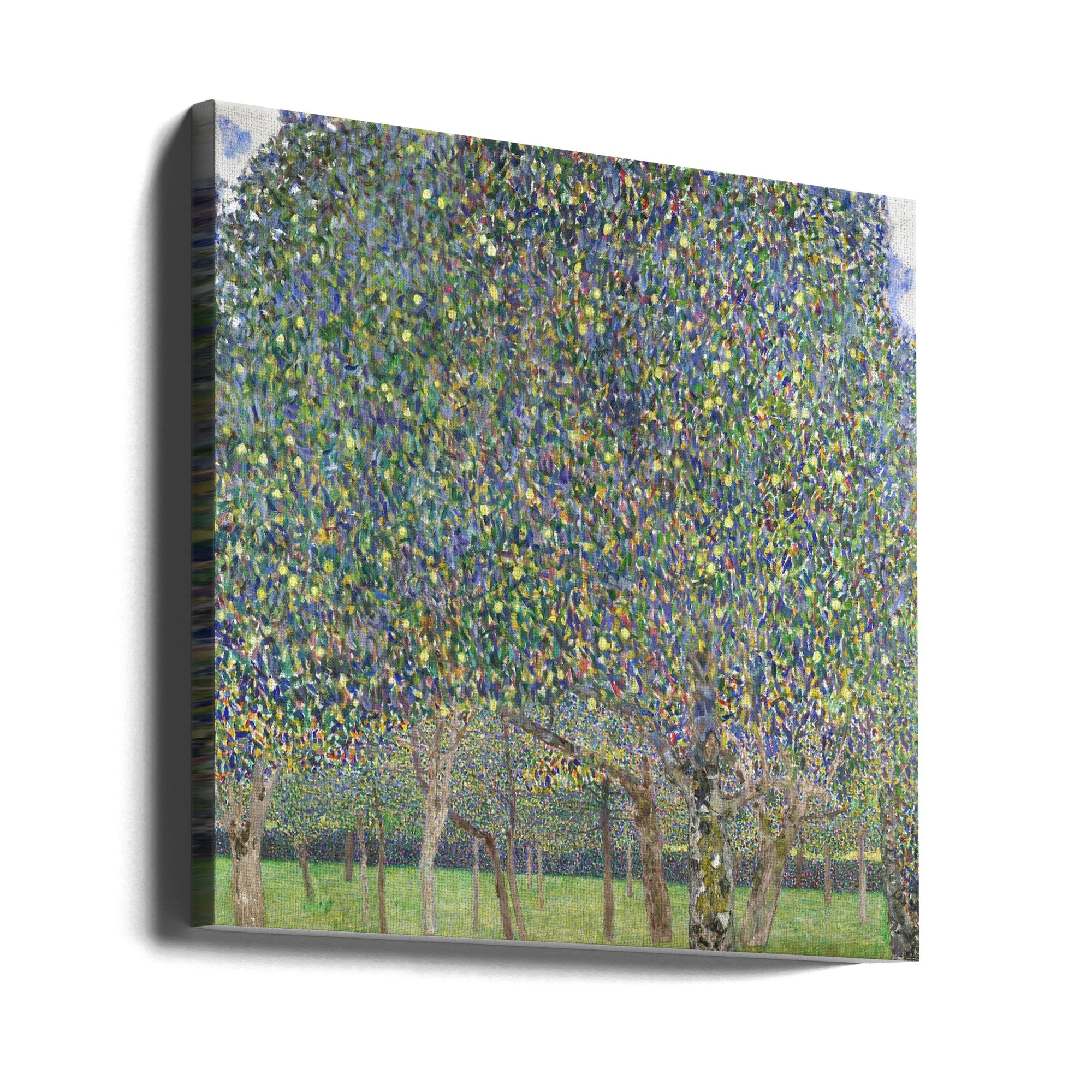 Canvas - Pear Tree (1903)