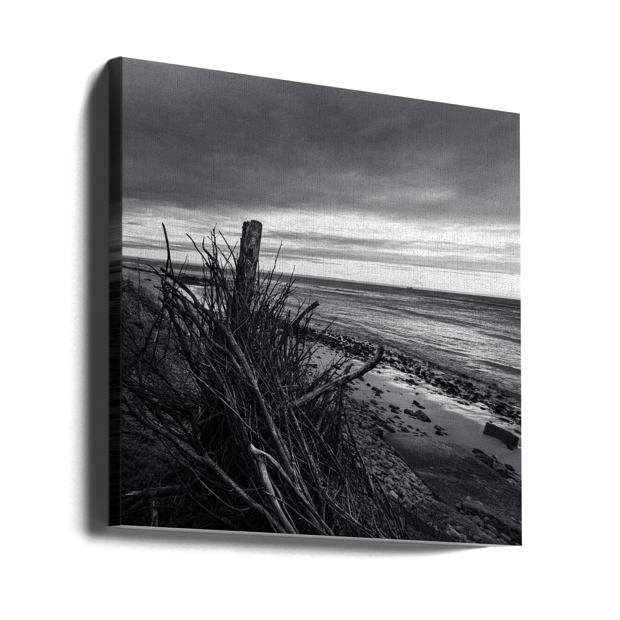 Canvas - Elemental Palisade - Ray Truter Photography Fine Art Originals - Admen.dk