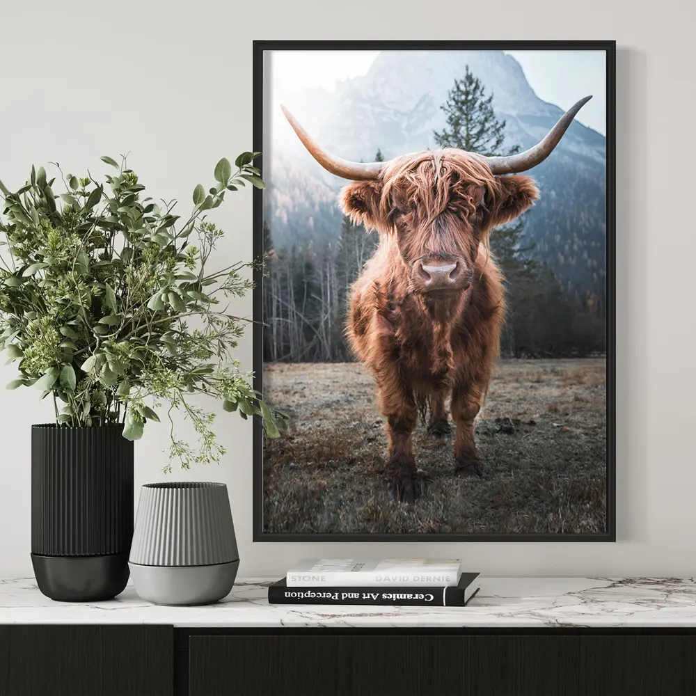 Plakat - Highland kvæg ved skoven - admen.dk