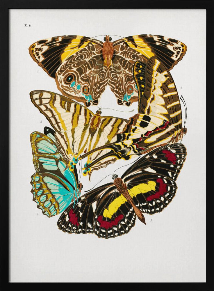 Poster - Butterflies 10