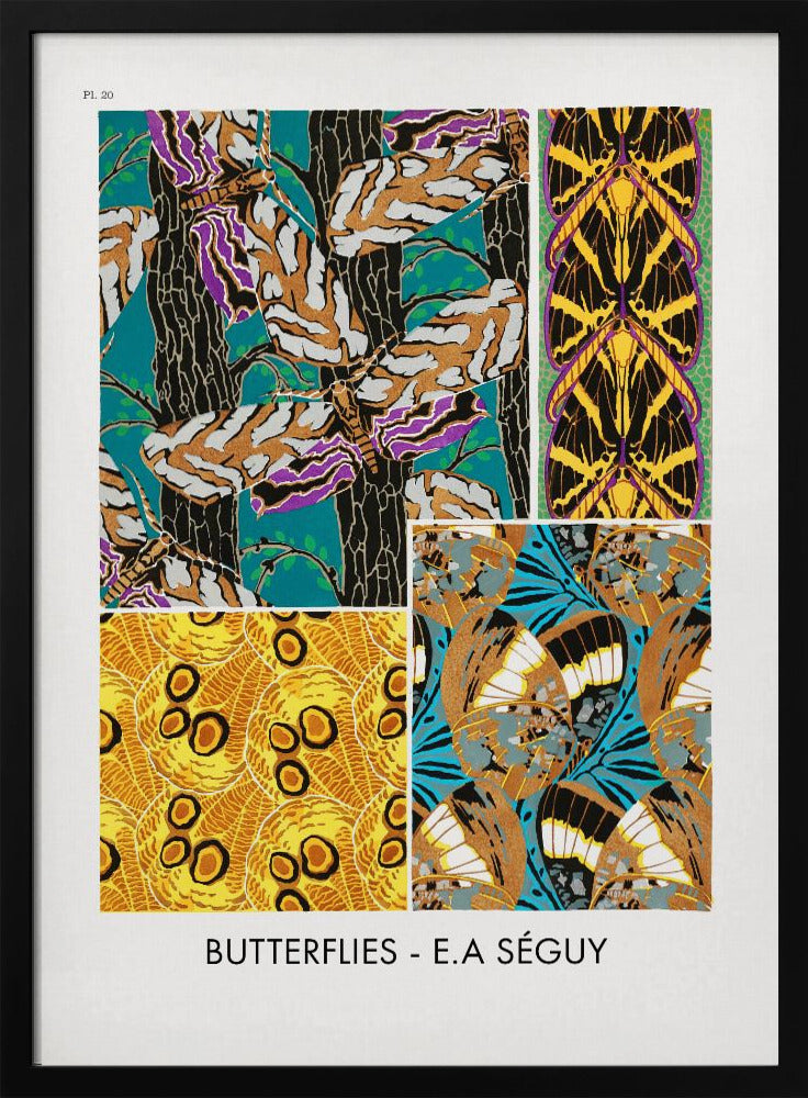 Poster - Butterflies 20
