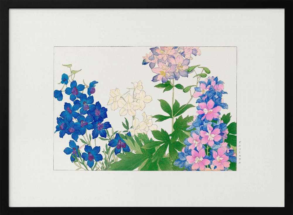 Plakat - Delphinium Flower - Admen.dk