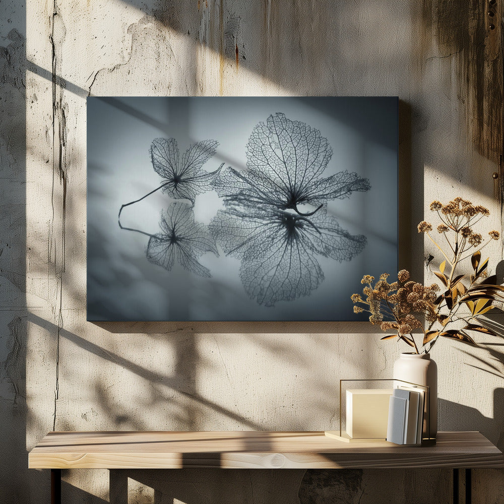 Canvas - Ephemeral Beauty - Admen.dk
