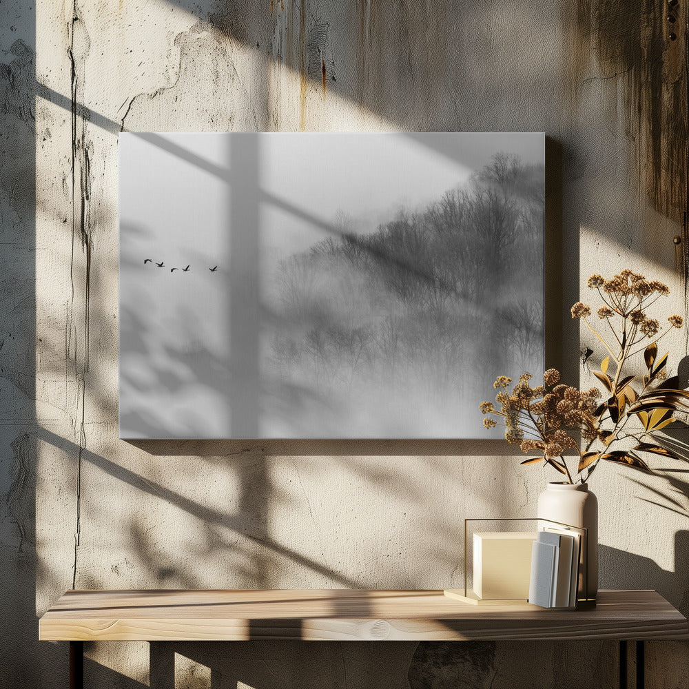Canvas - Above Mist - Admen.dk