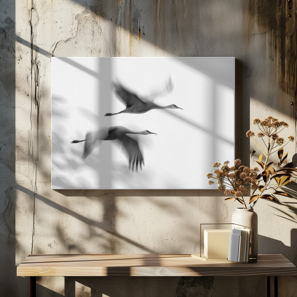 Canvas - Dream Couple - Admen.dk