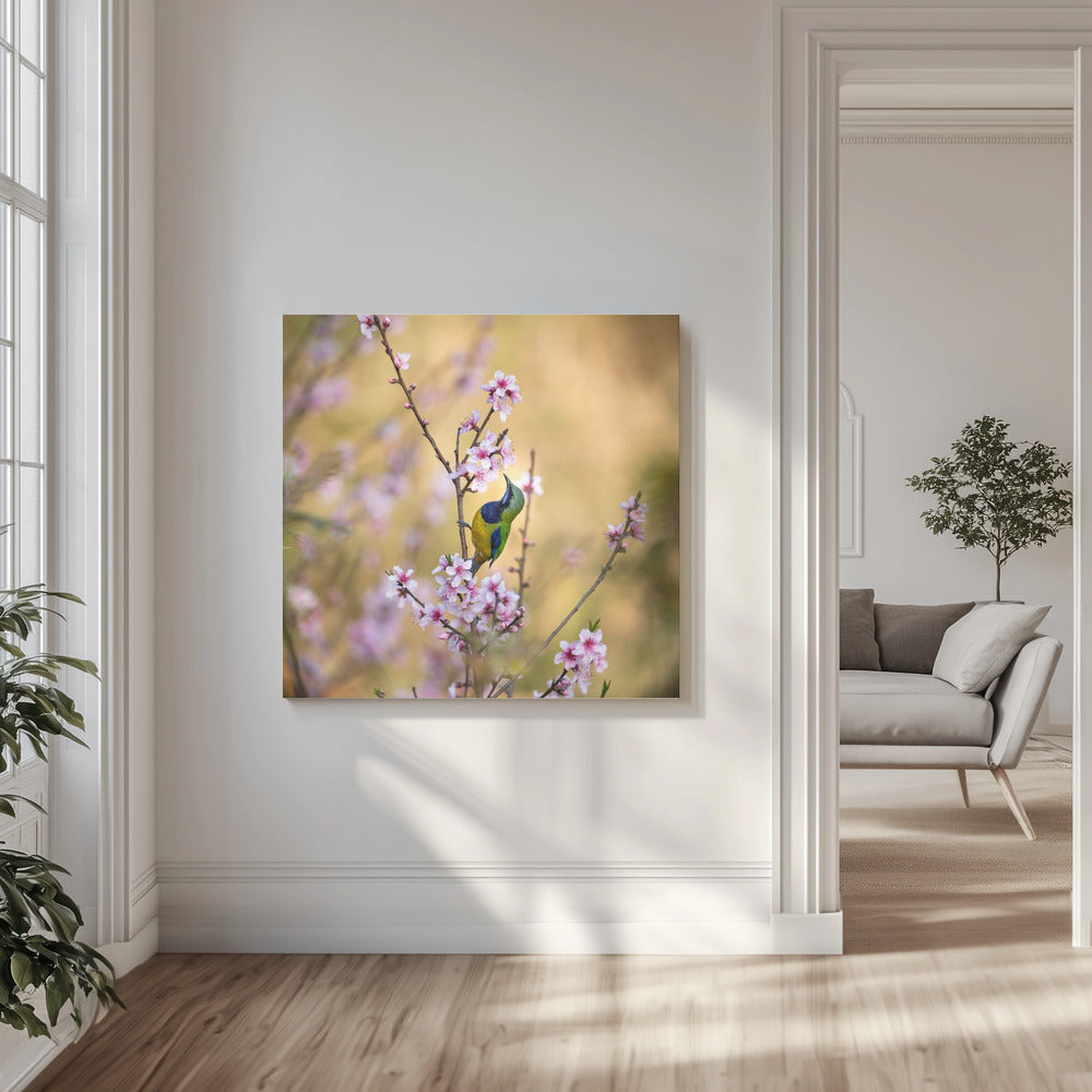 Canvas - Bird Whispering to the Peach Flower - Admen.dk