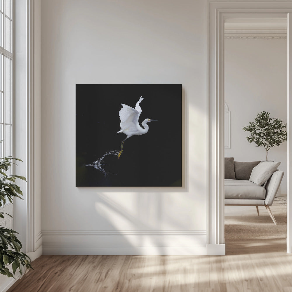 Canvas - fly - Admen.dk
