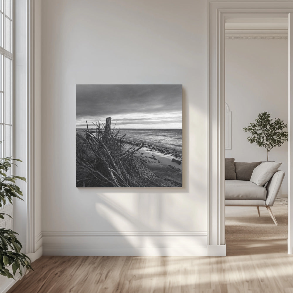 Canvas - Elemental Palisade - Ray Truter Photography Fine Art Originals - Admen.dk