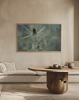 Plakat - Teasel
