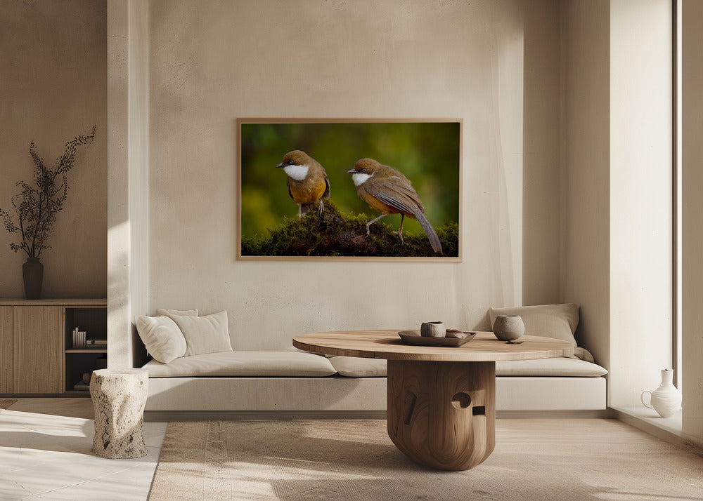 Slideshow Image 1
