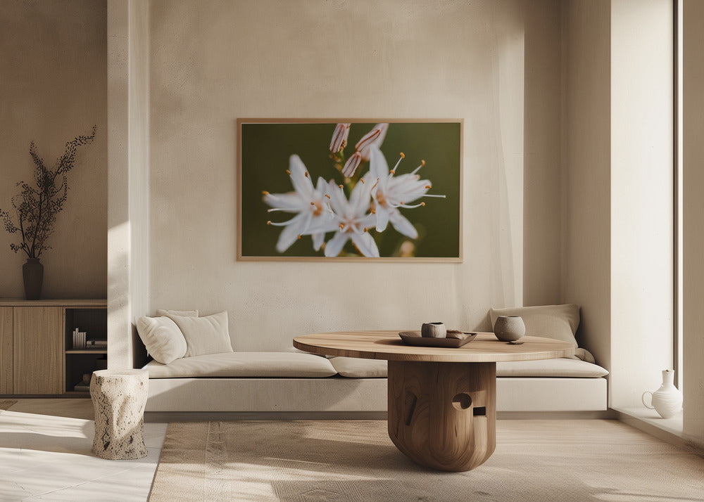 Plakat - White Flowers 10 - Admen.dk