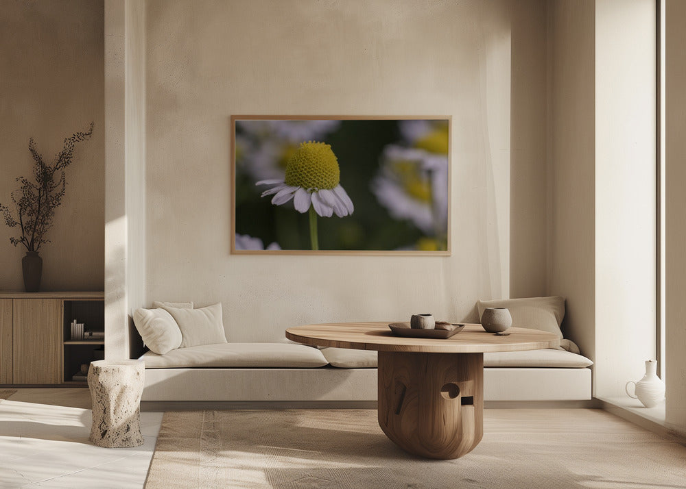 Plakat - Summer Flowers 7 - Admen.dk