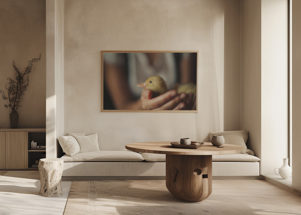 Plakat - Save the Duck - Admen.dk
